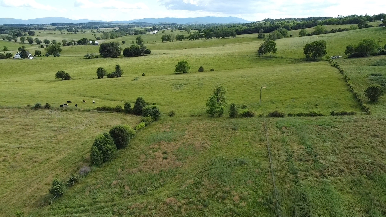 4-acres Miller Road Fishersville, VA 22939 - Photo 7 of 13 a view of a field with an ocean