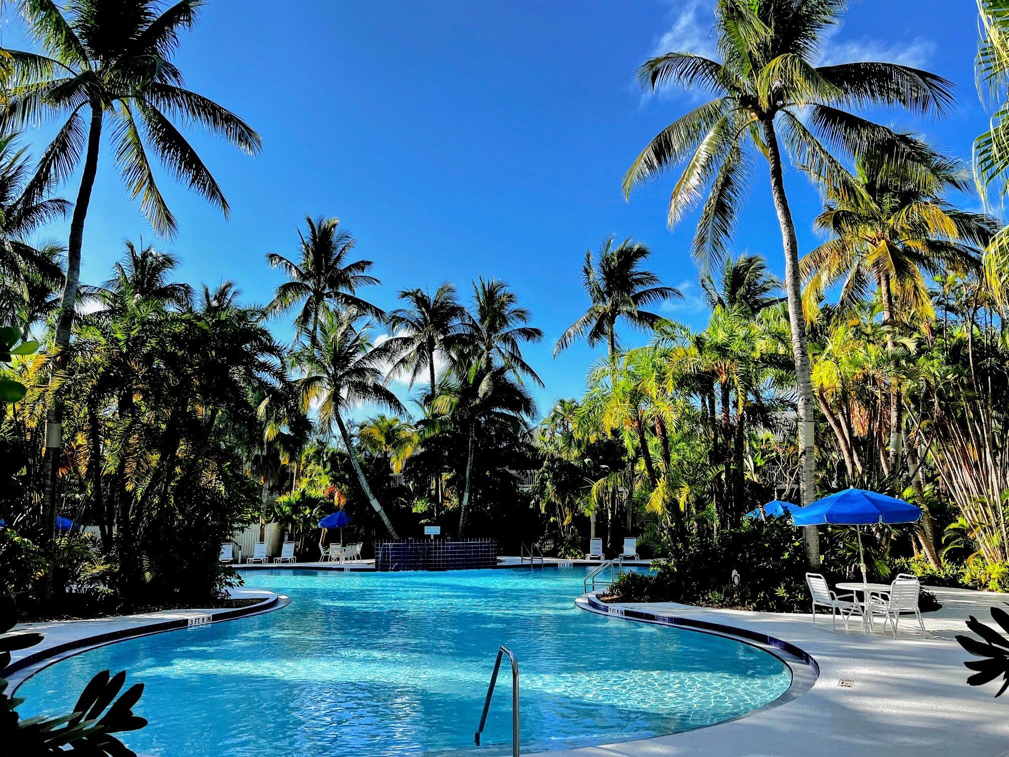 48 Merganser Lane Key West, FL 33040 - Photo 23 of 29 a backyard of a house with lots of green space