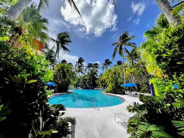 a view of a yard with plants