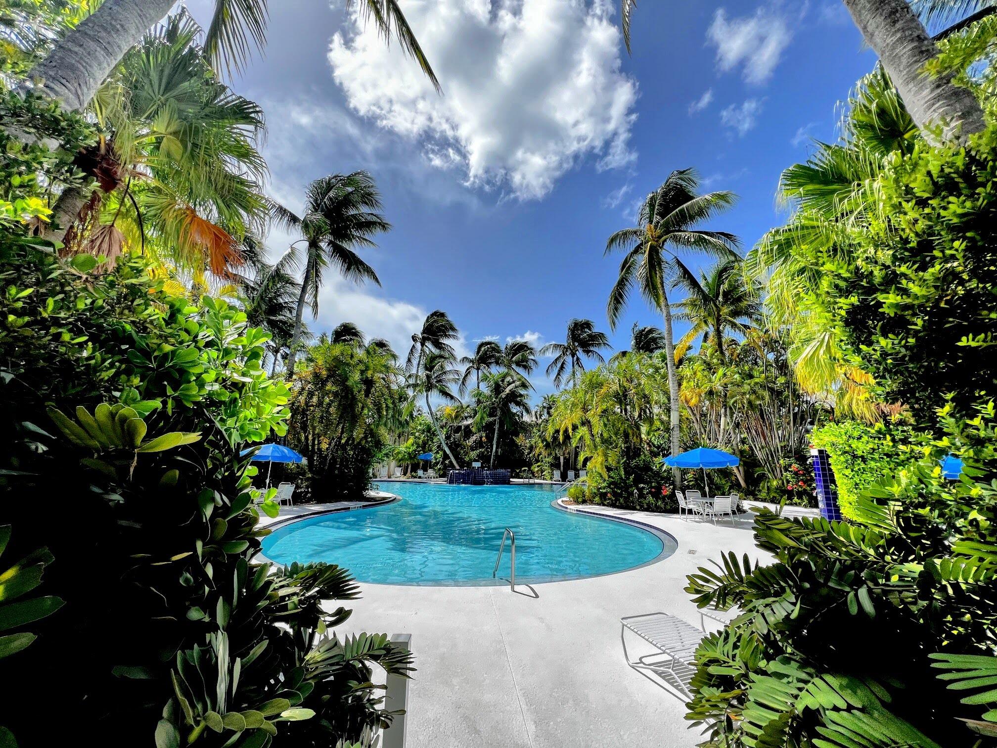 48 Merganser Lane Key West, FL 33040 - Photo 24 of 29 a view of a yard with plants