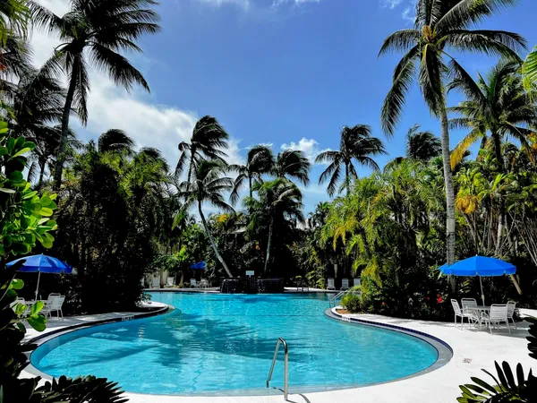 a view of a backyard with plants and palm trees