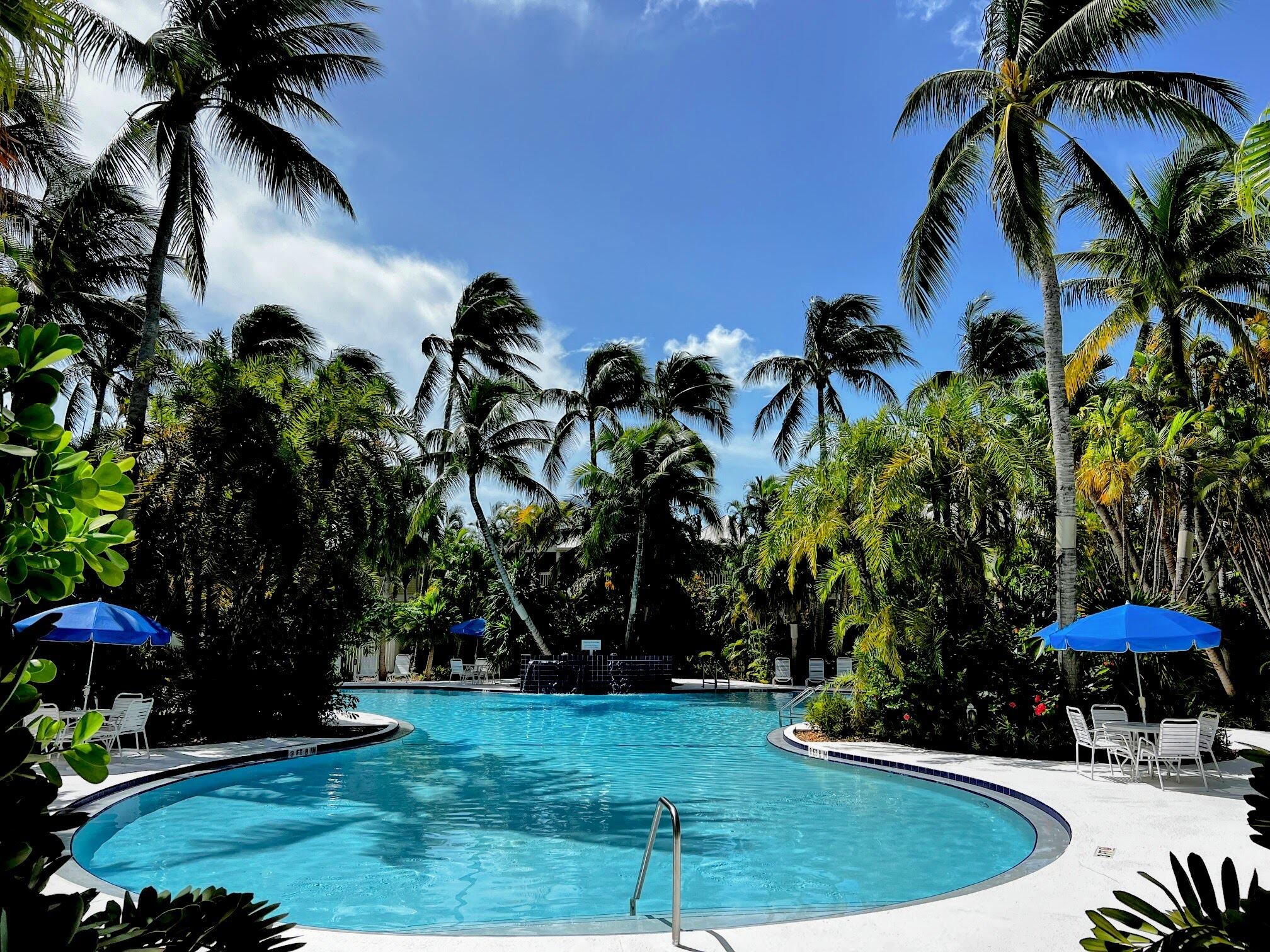 48 Merganser Lane Key West, FL 33040 - Photo 25 of 29 a view of a backyard with plants and palm trees