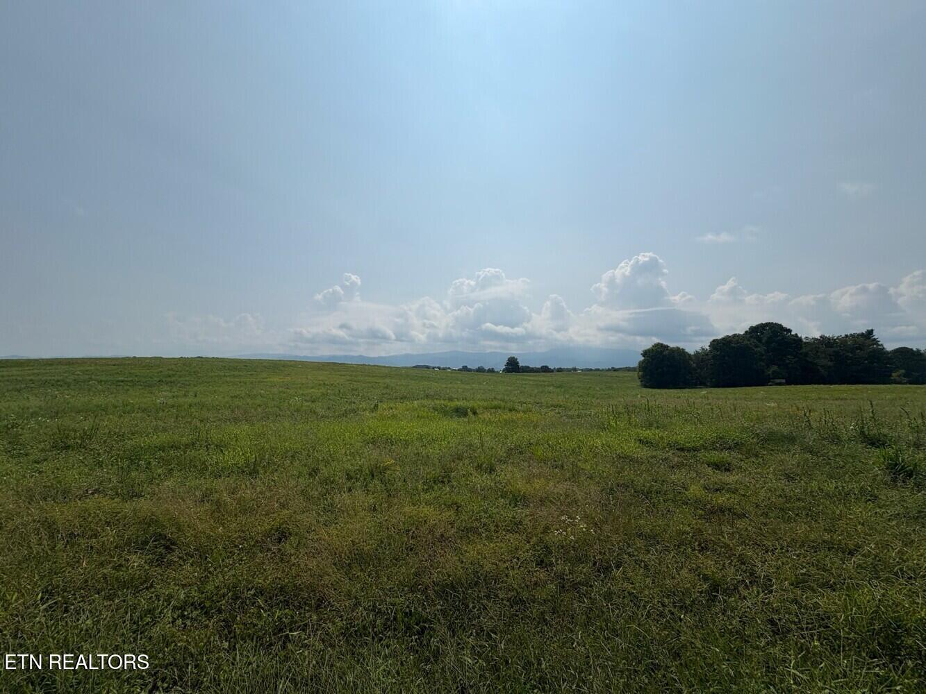 0 Chuckey Pike Chuckey, TN 37641 - Photo 17 of 39 68bed5a3e4921