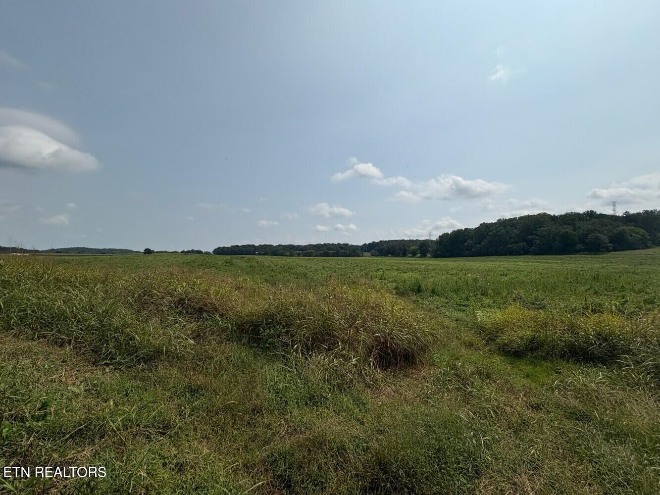 0 Chuckey Pike Chuckey, TN 37641 - Photo 20 of 39 68bed5b950120