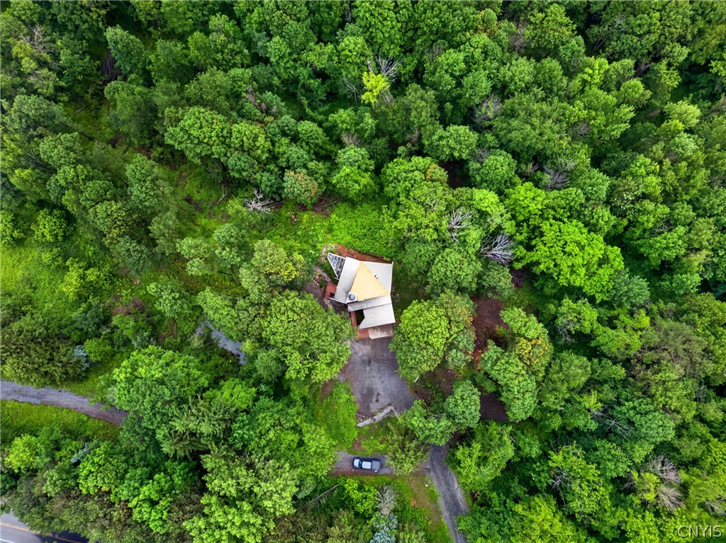 1700 Sky High Road LaFayette, NY 13084 - Photo 3 of 50