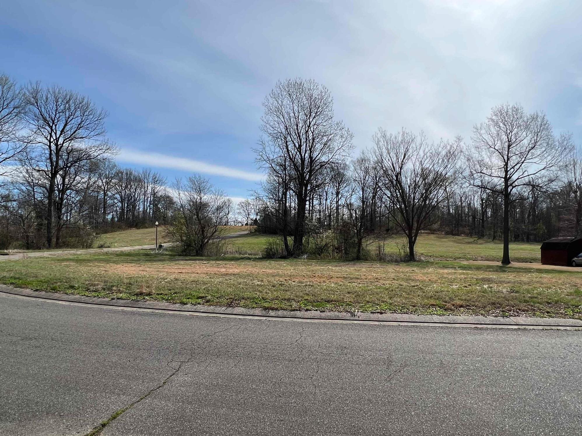 0 Thornhill Gardens Road Ripley, TN 38063 - Photo 1 of 5 a view of dirt yard with large trees