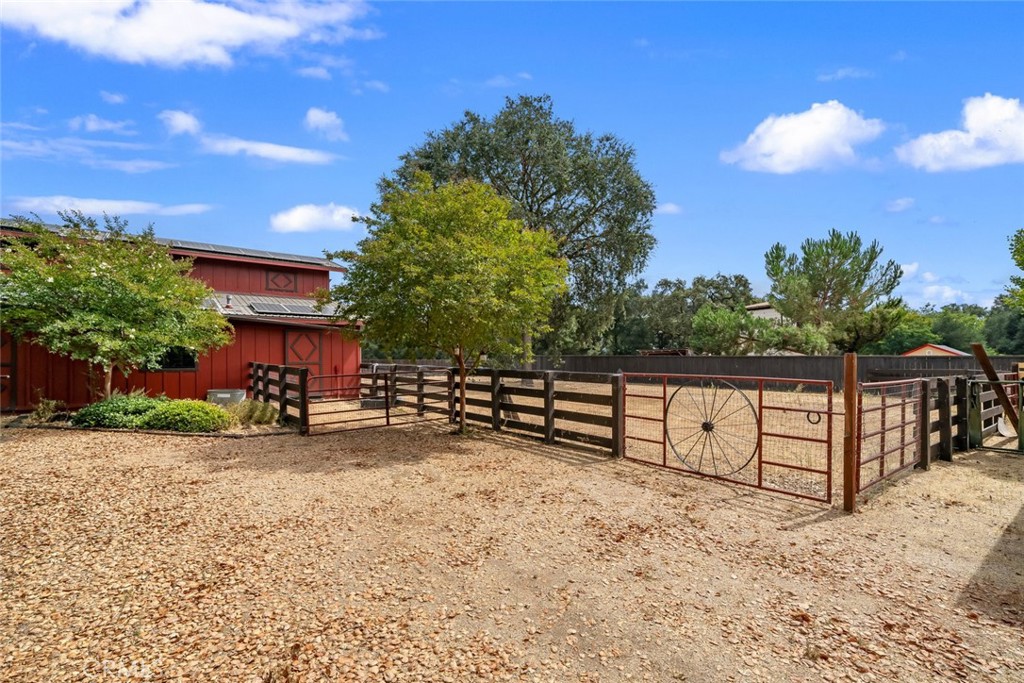 10330 Huasna Road Arroyo Grande, CA 93420 - Photo 62 of 74 a view of a backyard with a large tree