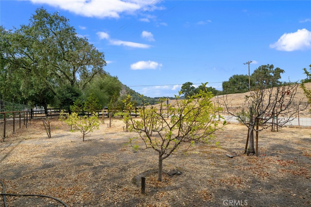 10330 Huasna Road Arroyo Grande, CA 93420 - Photo 66 of 74