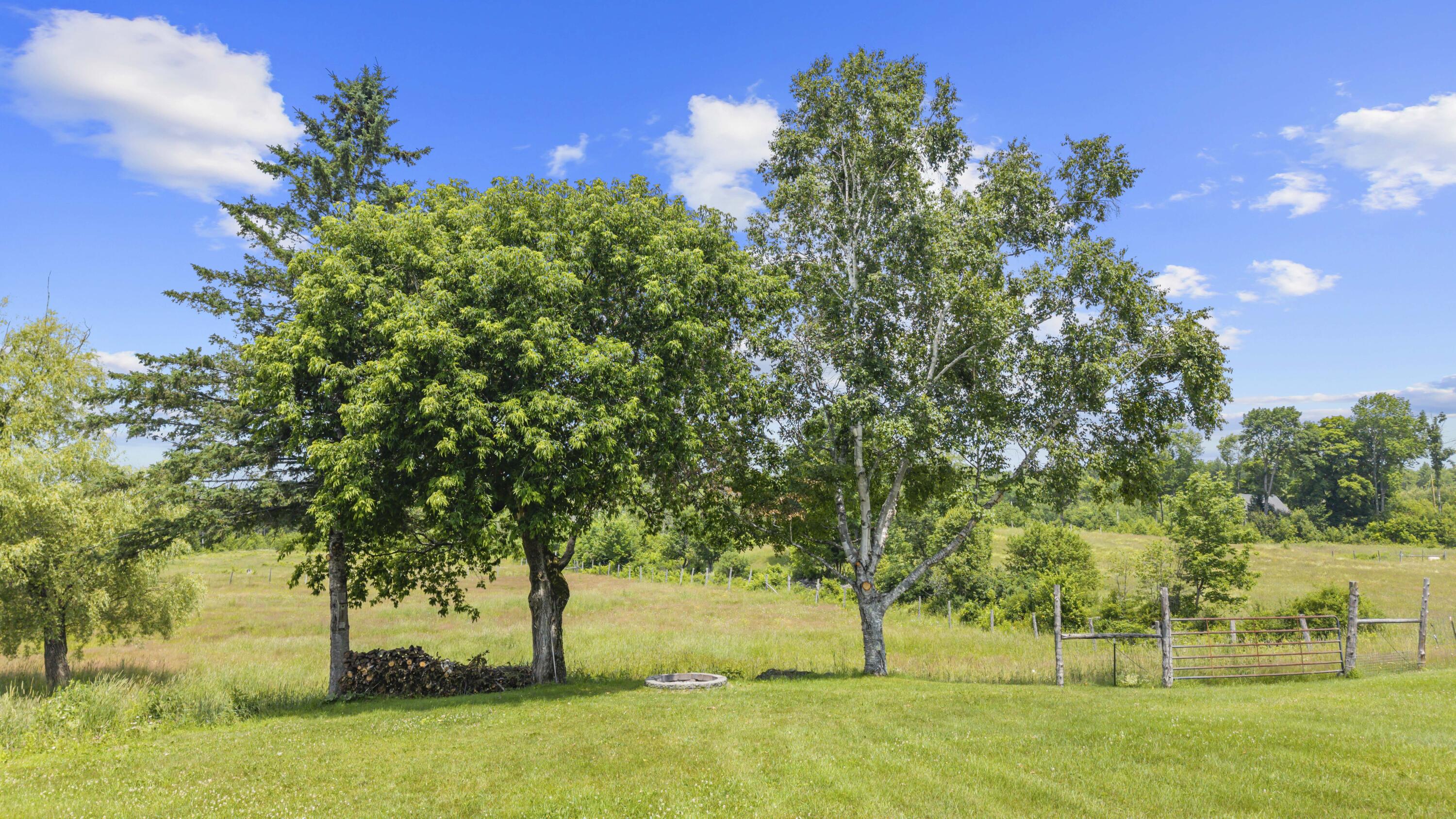 232 Wharff Road Guilford, ME 04443 - Photo 50 of 65 DJI_20260707120751_0893_D