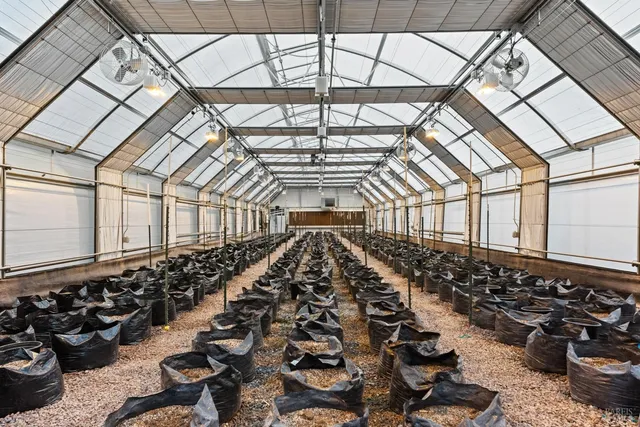 $1,885,000 | Undisclosed Address, Willits, CA 95490