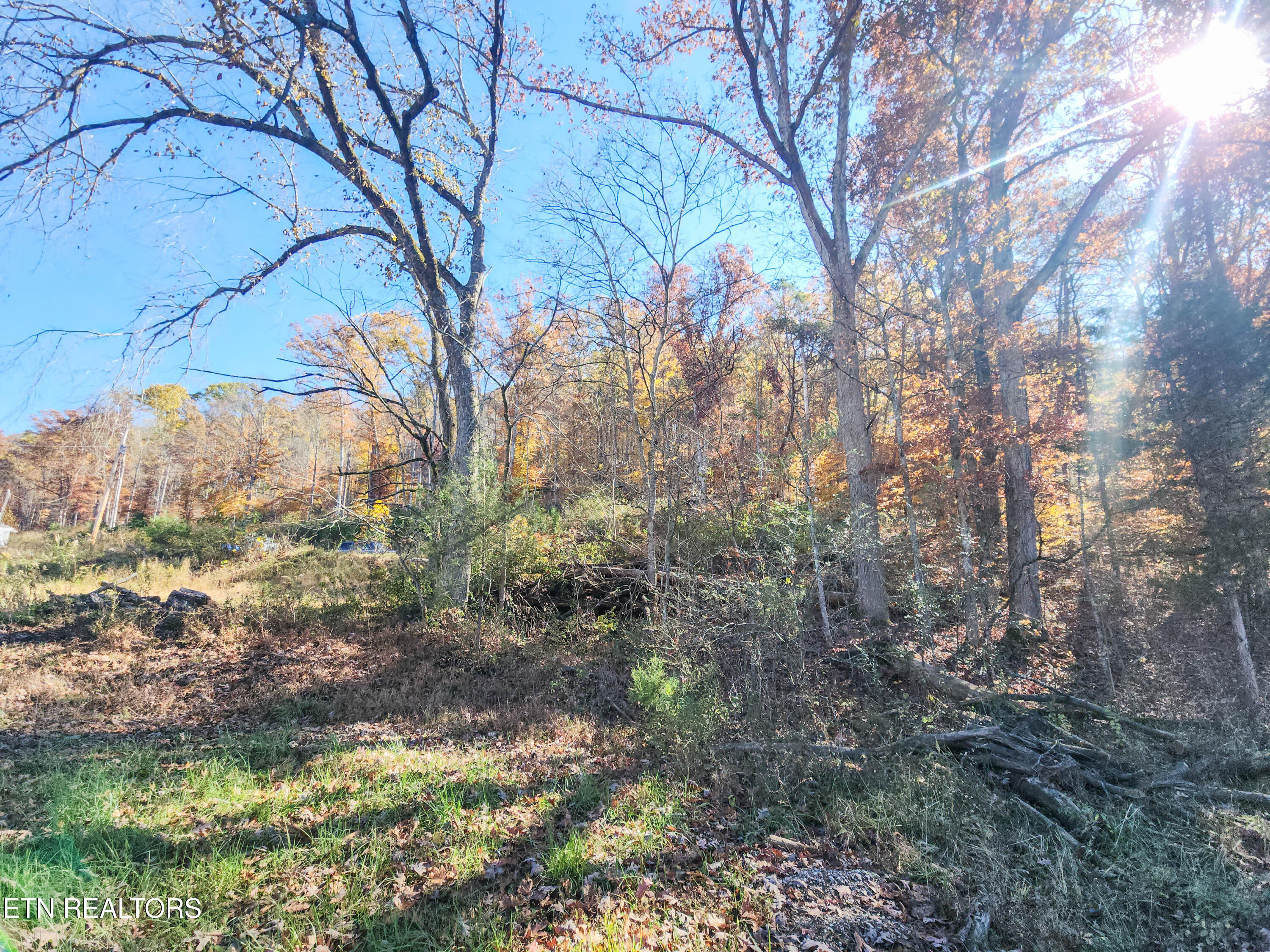 738-742 Archer Road Luttrell, TN 37779 - Photo 11 of 16 archer rd7