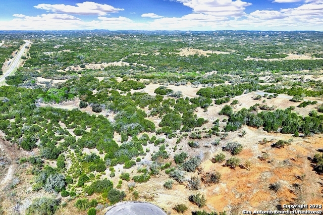 162 Zinnia Avenue Spring Branch, TX 78070 - Photo 3 of 15