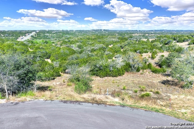 162 Zinnia Avenue Spring Branch, TX 78070 - Photo 5 of 15