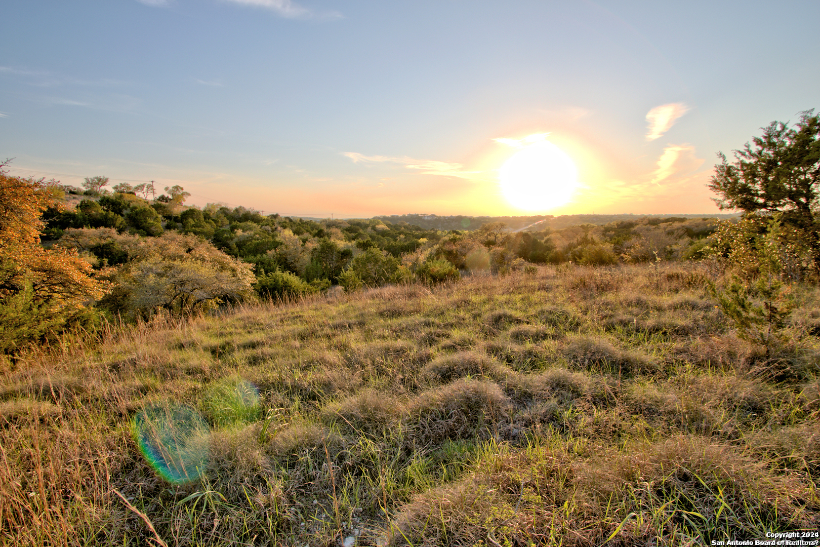 162 Zinnia Avenue Spring Branch, TX 78070 - Photo 6 of 15