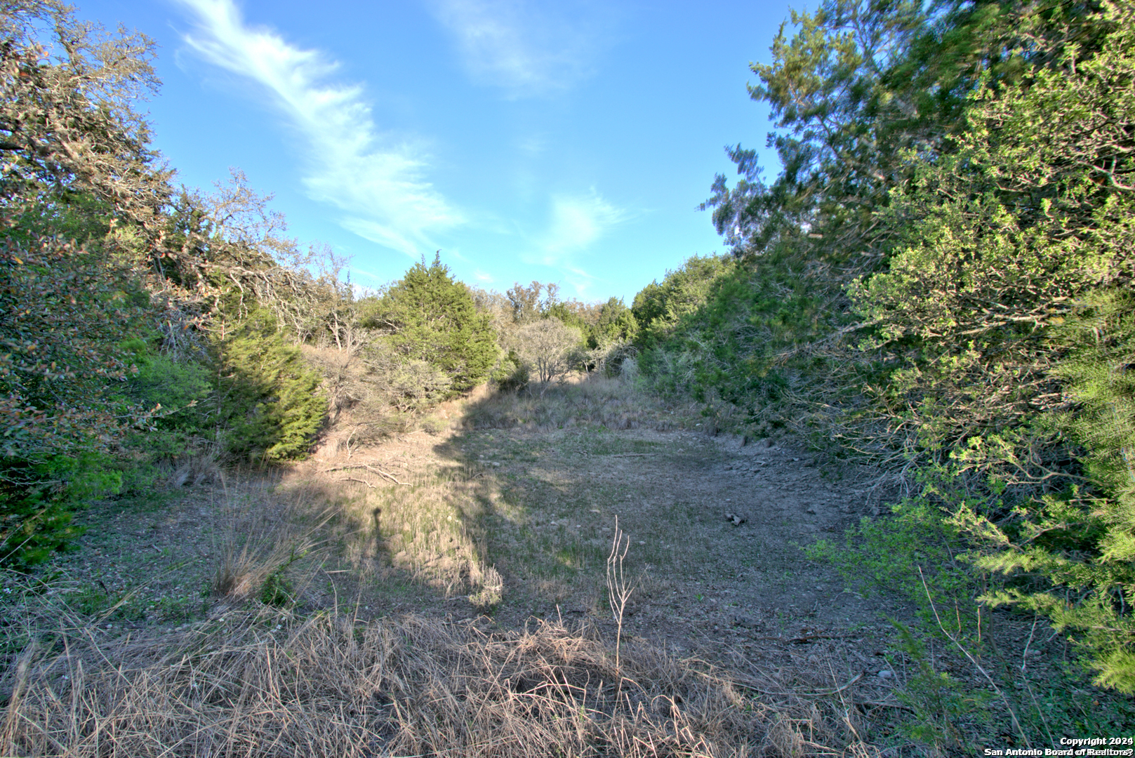 162 Zinnia Avenue Spring Branch, TX 78070 - Photo 7 of 15