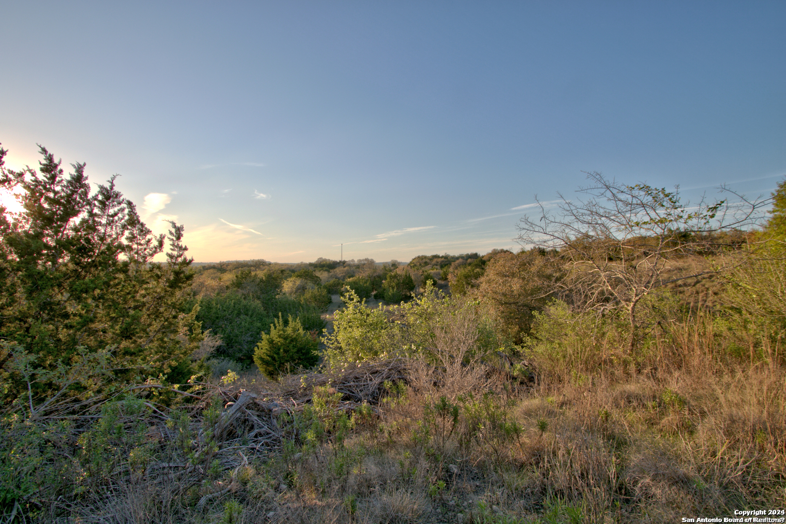 162 Zinnia Avenue Spring Branch, TX 78070 - Photo 8 of 15