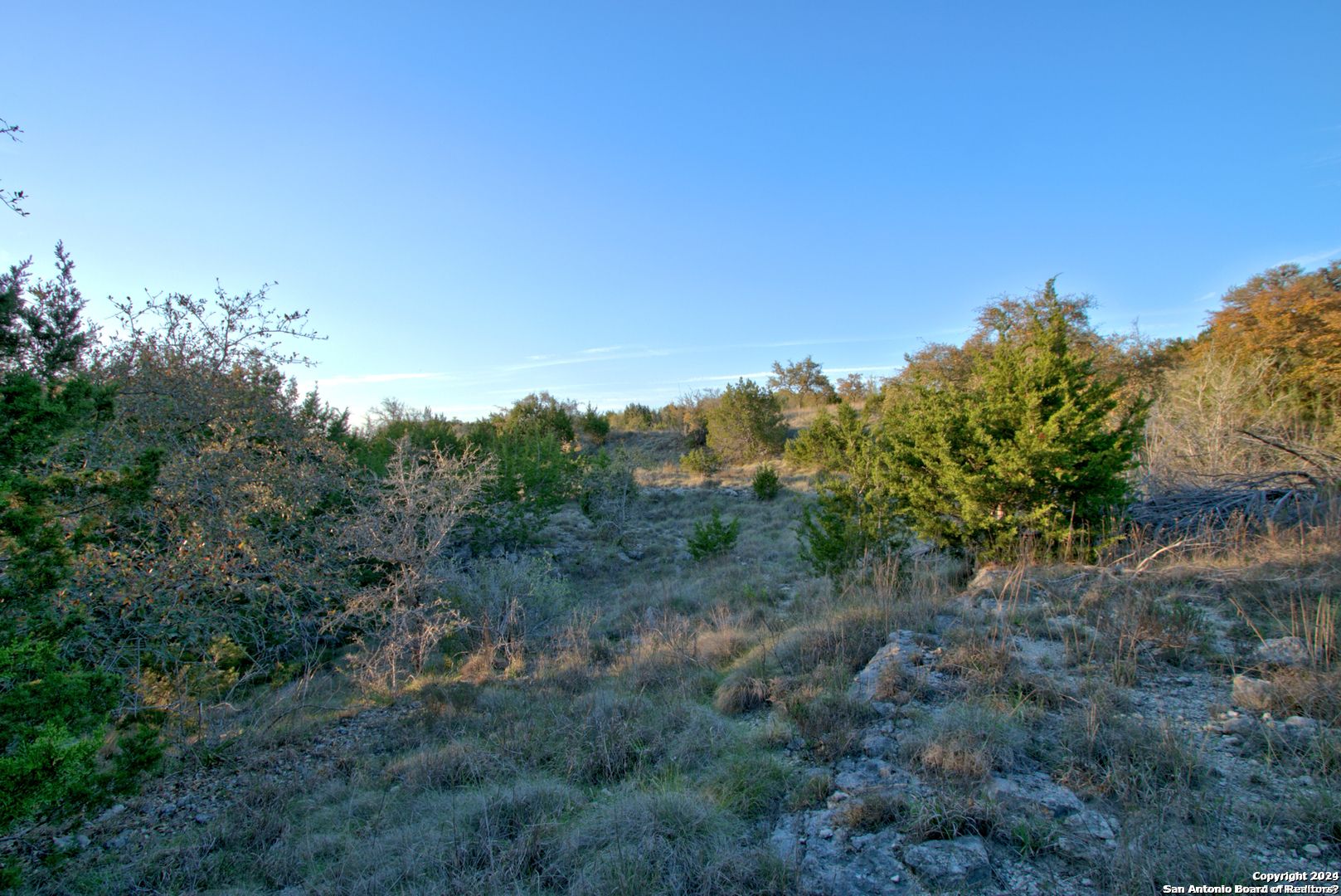 162 Zinnia Avenue Spring Branch, TX 78070 - Photo 9 of 15