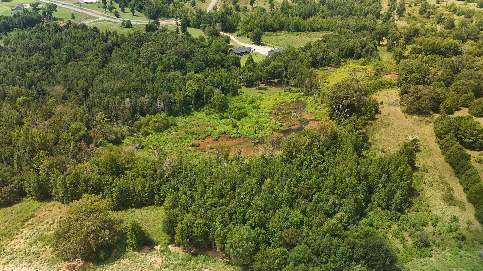 Lot 3 Fm 757 Winona, TX 75792 - Photo 22 of 23 a view of a forest with a street