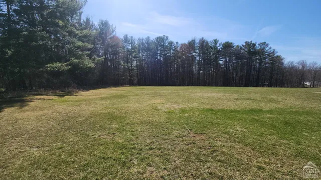 a view of a field with trees in the background