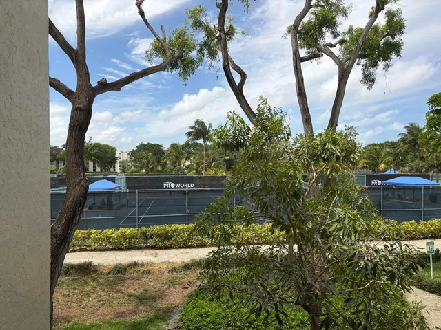 a view of a yard with a fountain