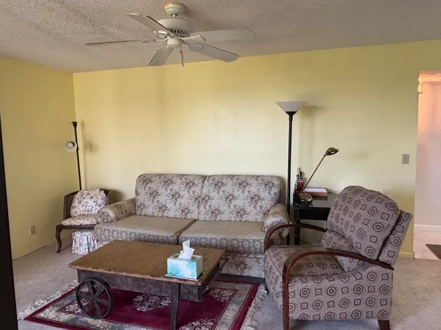 a living room with furniture and a rug
