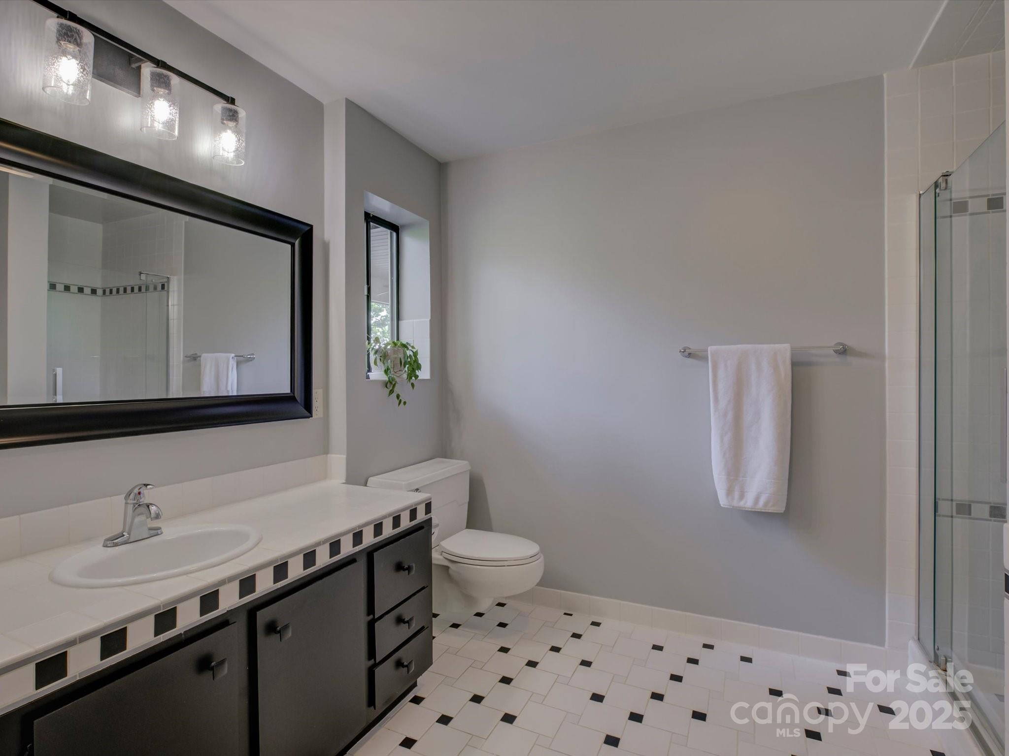 1114 Palmyra Drive Tega Cay, SC 29708 - Photo 20 of 48 a bathroom with a sink a toilet a mirror and shower