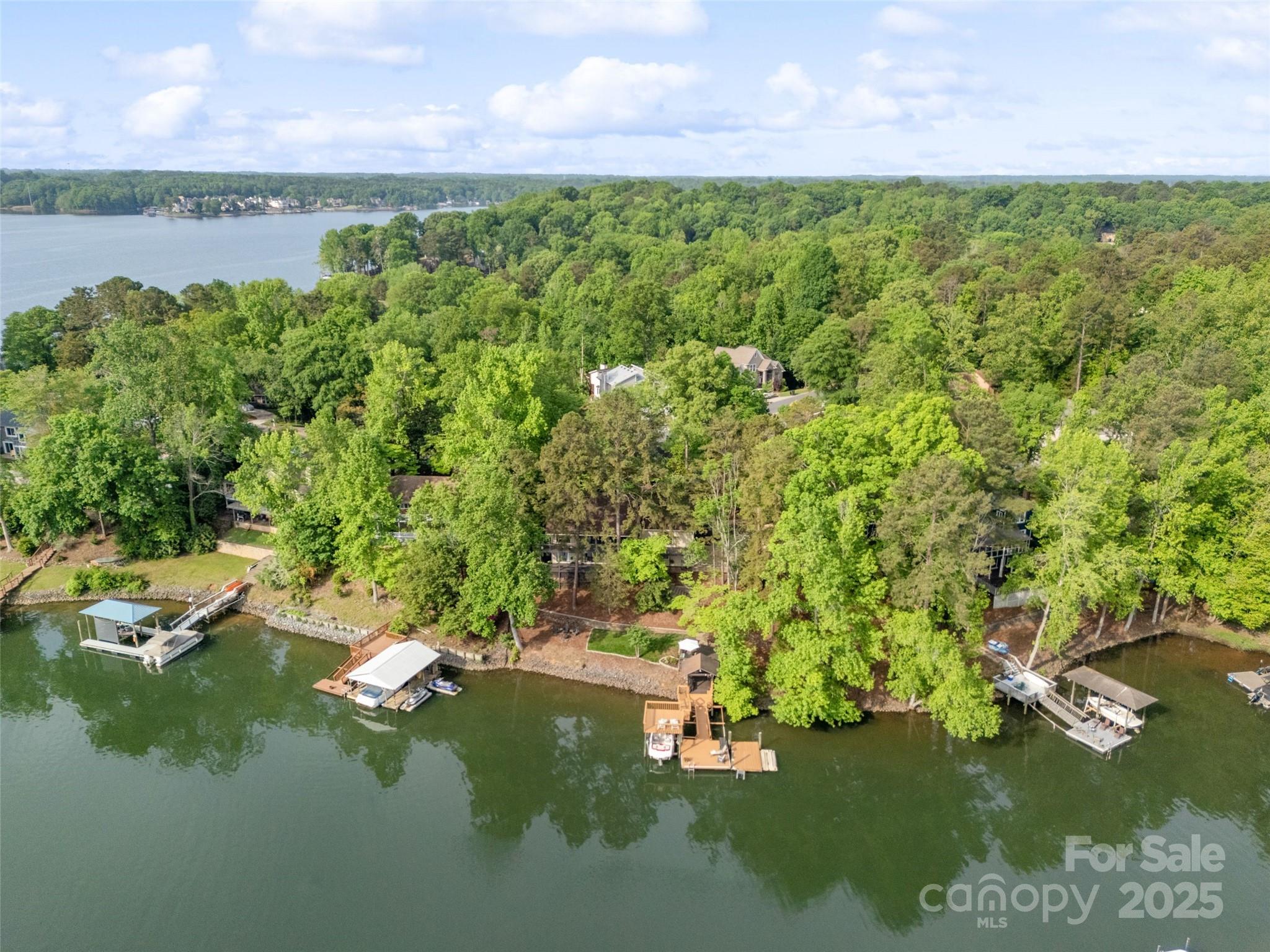 1114 Palmyra Drive Tega Cay, SC 29708 - Photo 47 of 48 a view of a lake with houses in the back