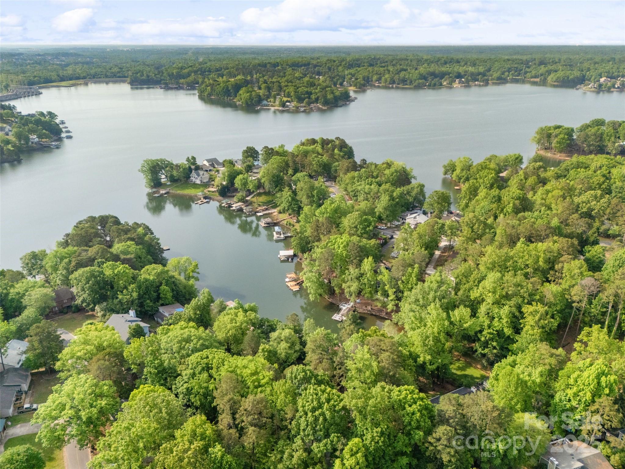 1114 Palmyra Drive Tega Cay, SC 29708 - Photo 48 of 48 a view of a lake with a houses