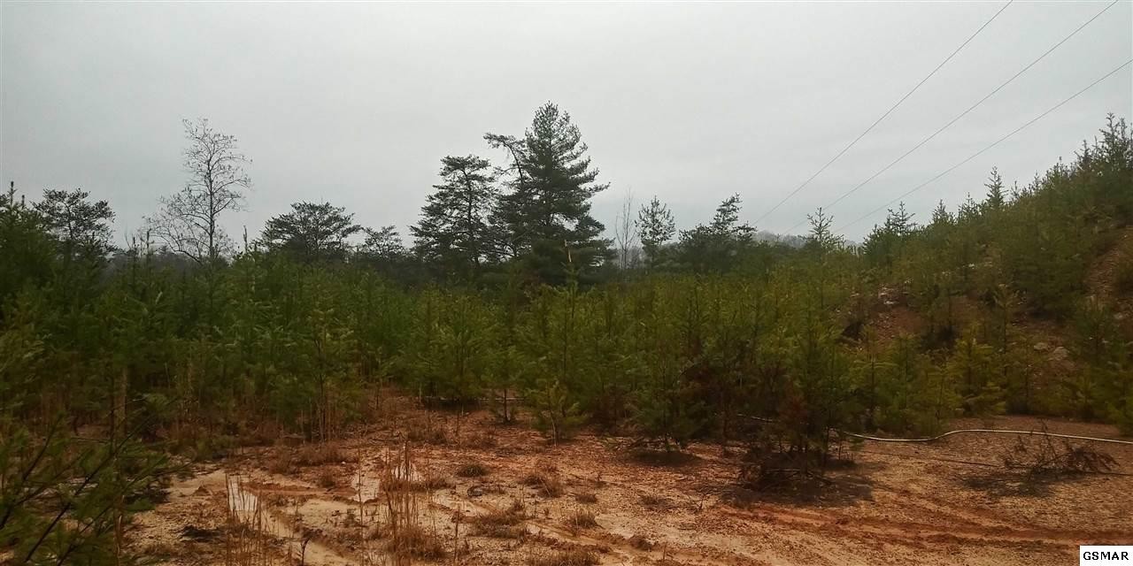 8 Sharp Road Sevierville, TN 37862 - Photo 3 of 7