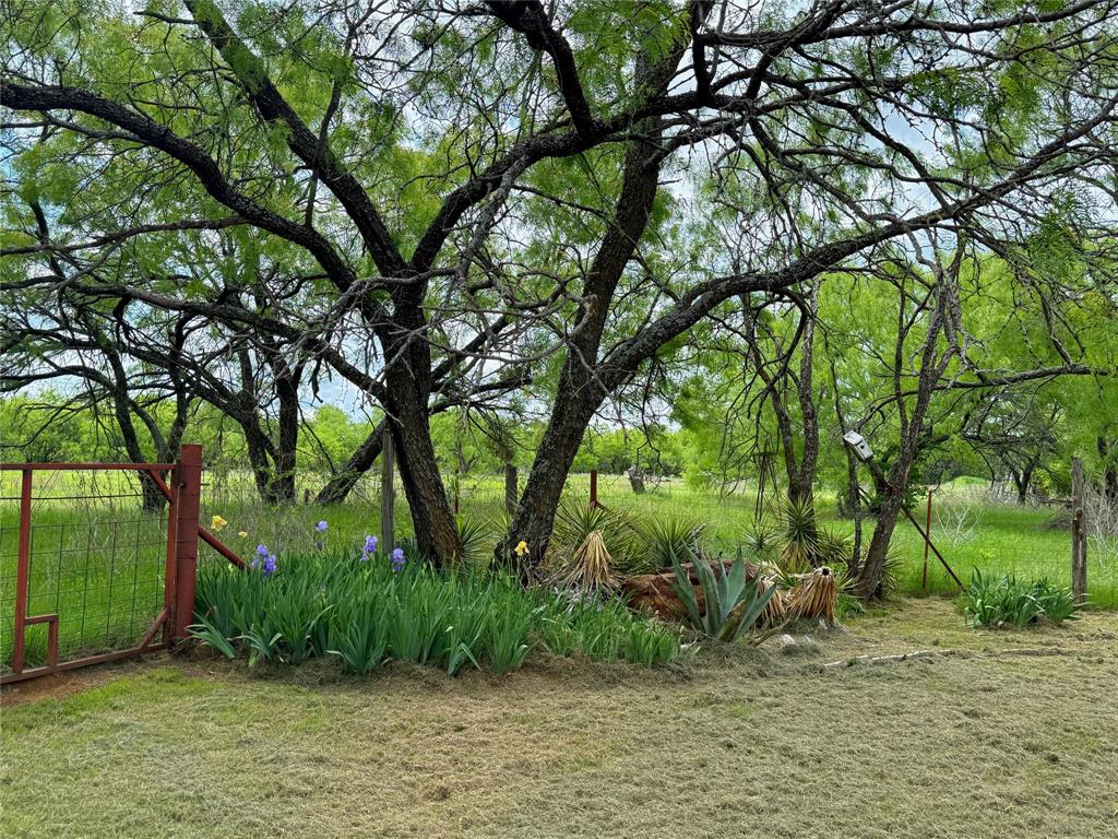 1091 Withers Road Mineral Wells, TX 76067 - Photo 17 of 32