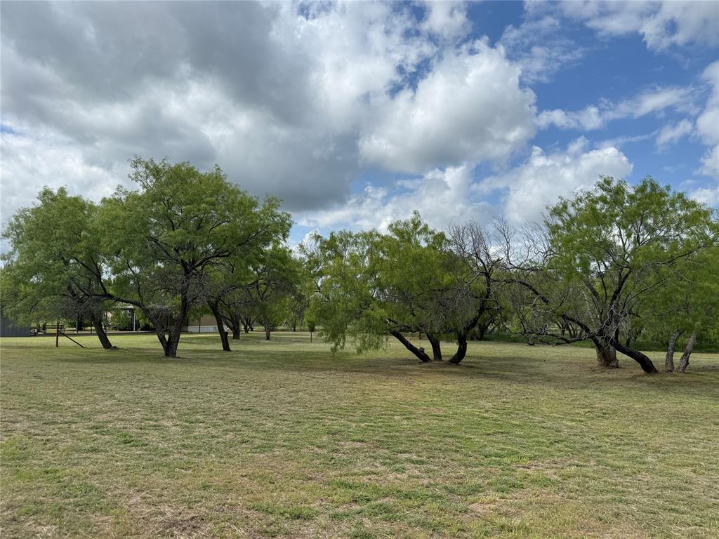 1091 Withers Road Mineral Wells, TX 76067 - Photo 21 of 32