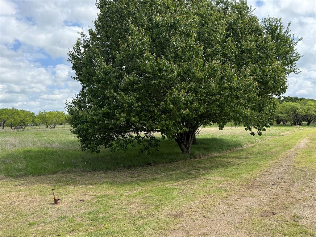 1091 Withers Road Mineral Wells, TX 76067 - Photo 30 of 32