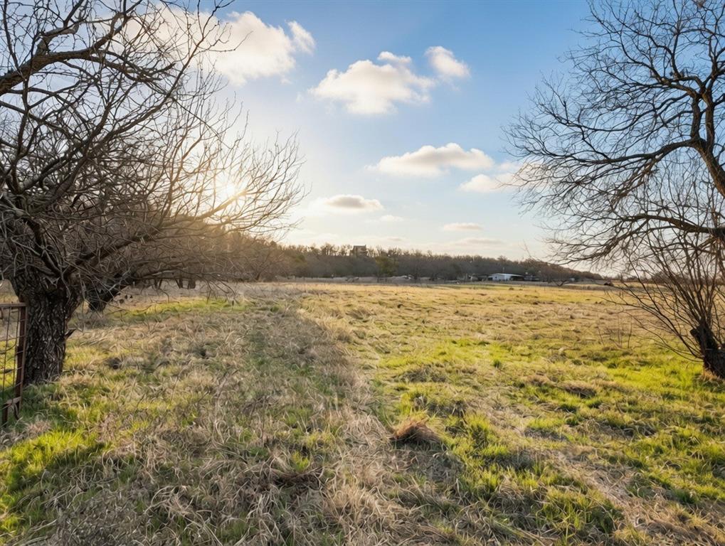 1091 Withers Road Mineral Wells, TX 76067 - Photo 5 of 32
