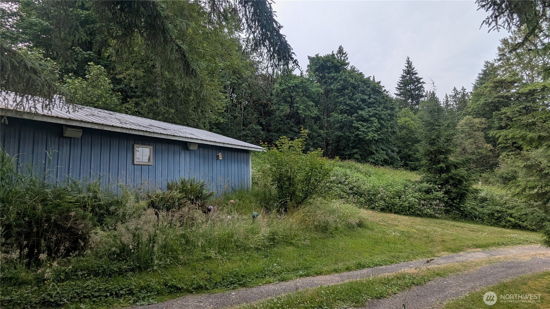 24216 High Bridge Road Monroe, WA 98272 - Photo 5 of 24 a view of a backyard of the house