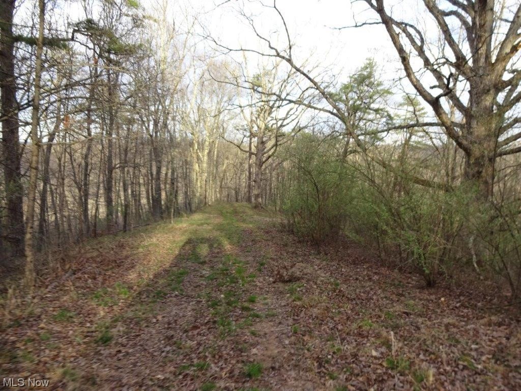 0 Triplett Road Spencer, WV 25276 - Photo 15 of 34