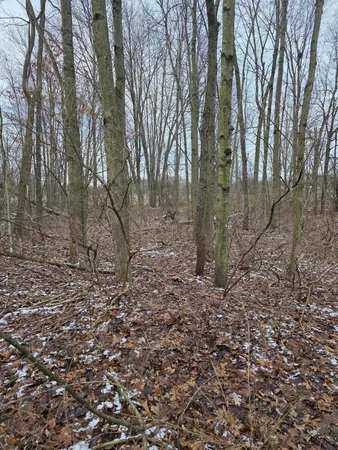 $107,300 | V/l Bronson Avenue, Plainwell, MI 49080