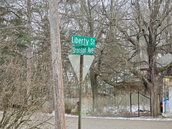 $107,300 | V/l Bronson Avenue, Plainwell, MI 49080