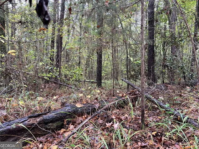 $39,000 | 266 Clinton Crossing Drive, Gray, GA 31032