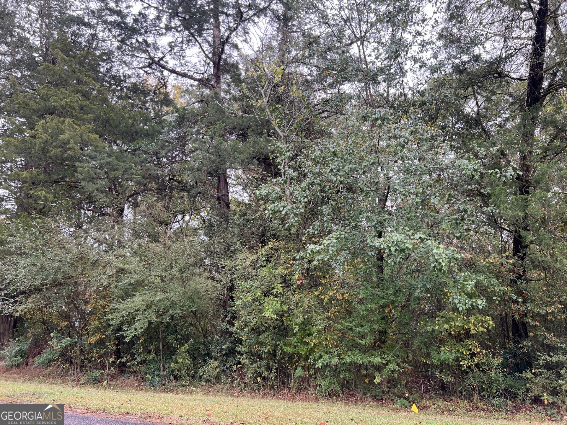 266 Clinton Crossing Drive Gray, GA 31032 - Photo 3 of 3 a view of a forest with trees in the background