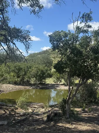 a view of a lake with a mountain