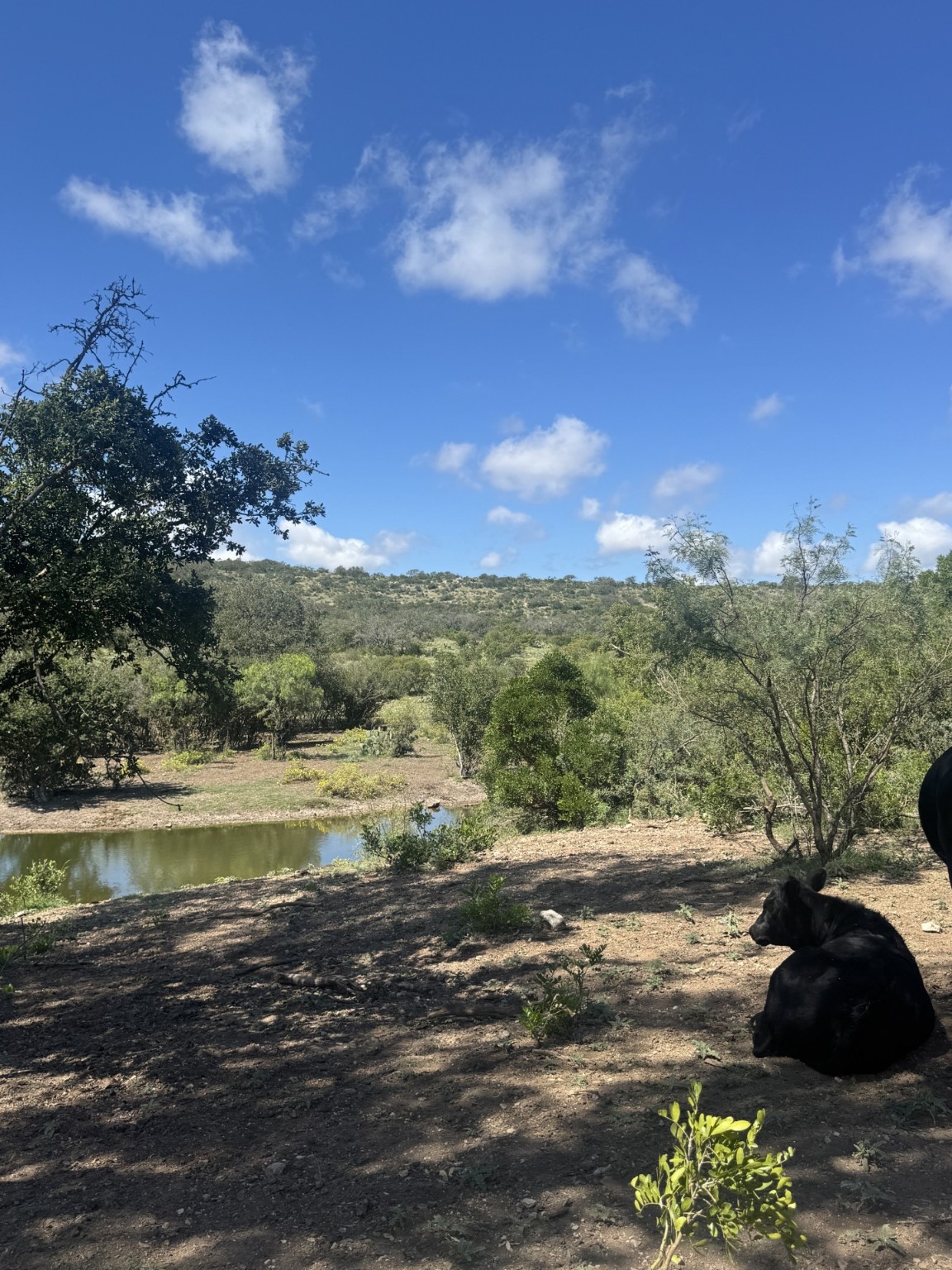 Lot 32 Private Road Rocksprings, TX 78880 - Photo 12 of 29