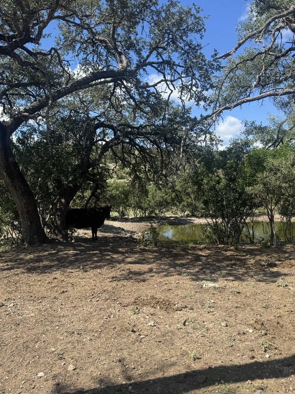 Lot 32 Private Road Rocksprings, TX 78880 - Photo 15 of 29 a view of a yard with trees