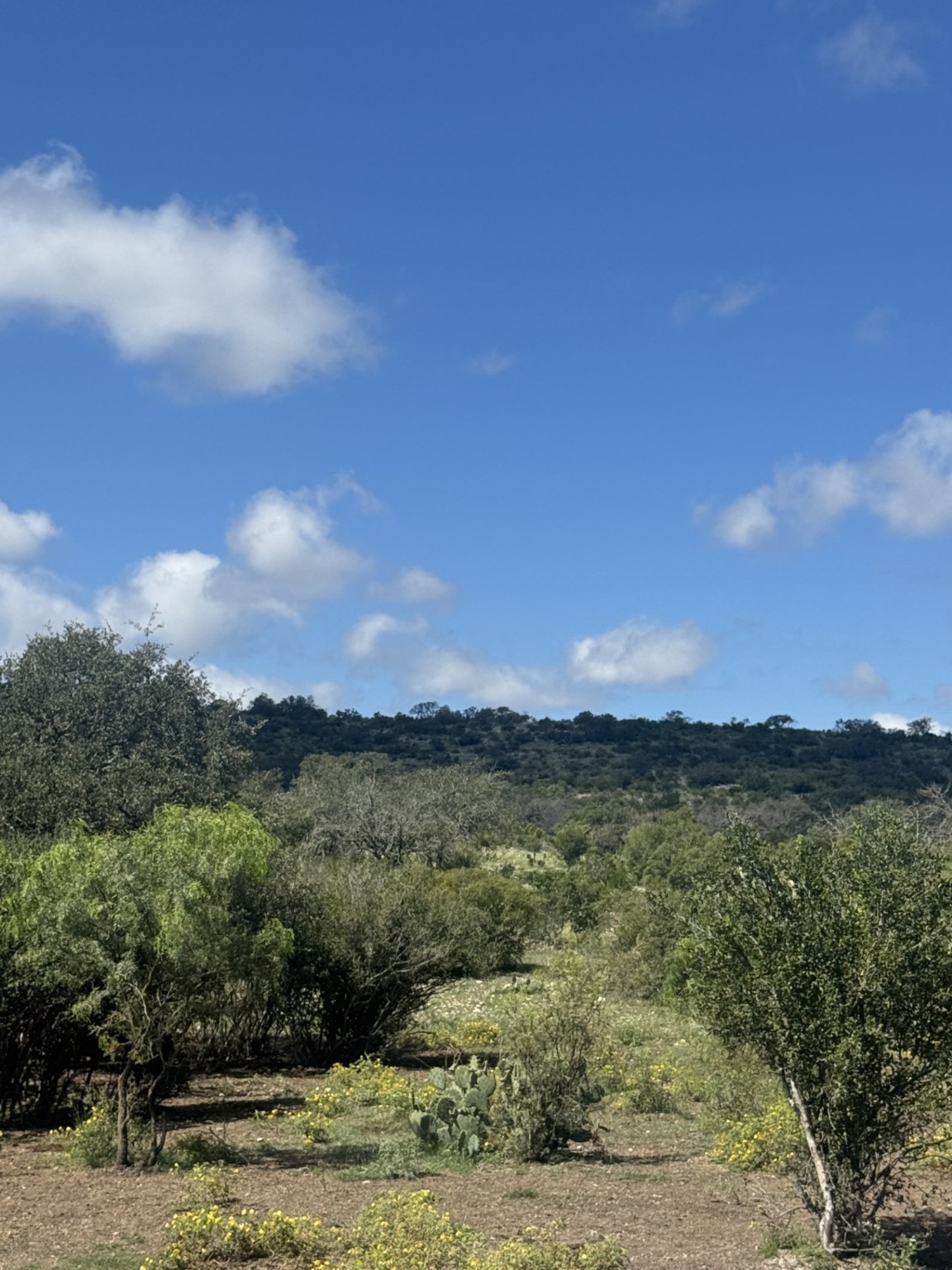 Lot 32 Private Road Rocksprings, TX 78880 - Photo 16 of 29