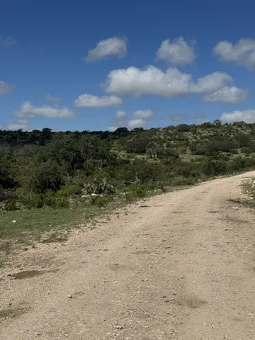 a view of a yard with plants and a tree