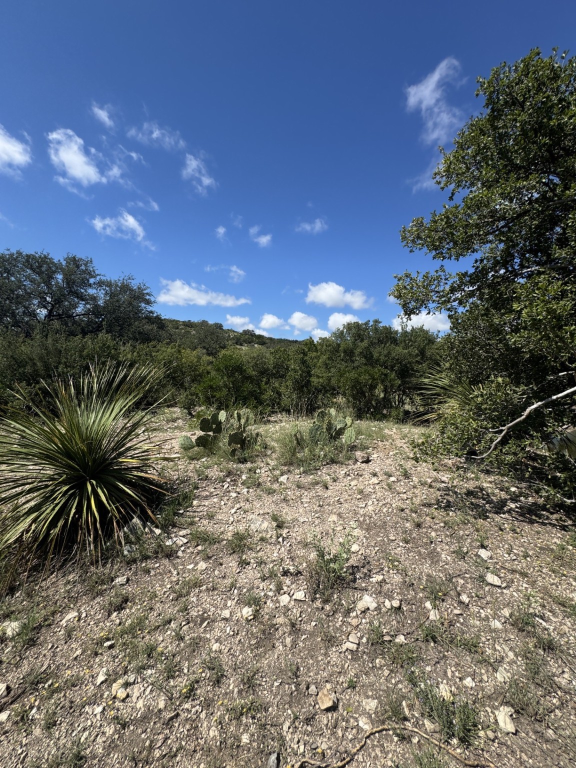 Lot 32 Private Road Rocksprings, TX 78880 - Photo 20 of 29