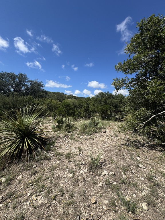 Lot 32 Private Road Rocksprings, TX 78880 - Photo 20 of 29 a view of a yard with plants and a tree