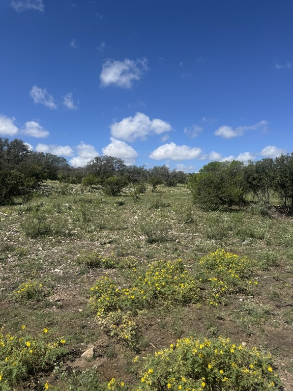 Lot 32 Private Road Rocksprings, TX 78880 - Photo 22 of 29 a view of a city and lush green forest