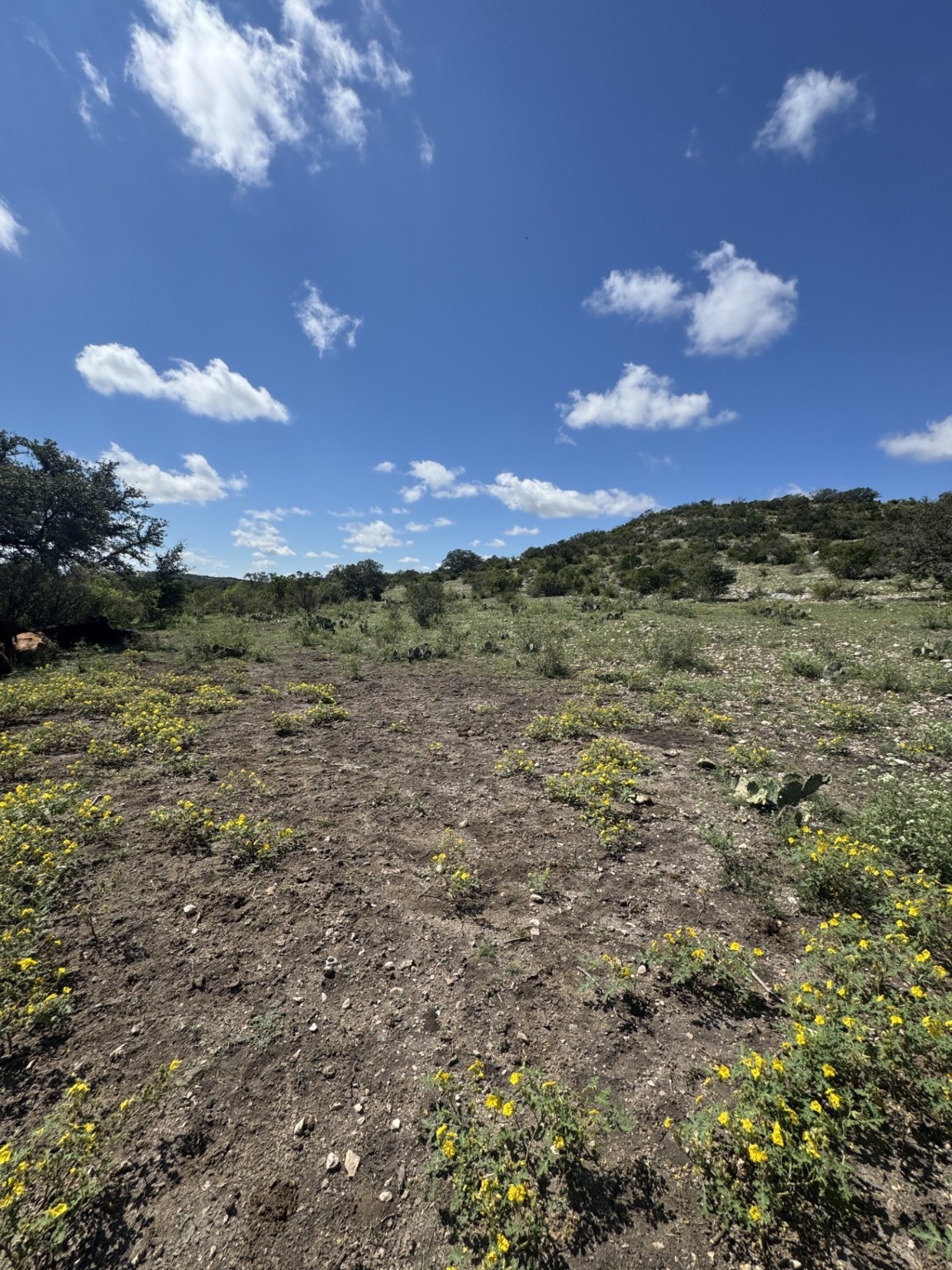 Lot 32 Private Road Rocksprings, TX 78880 - Photo 23 of 29