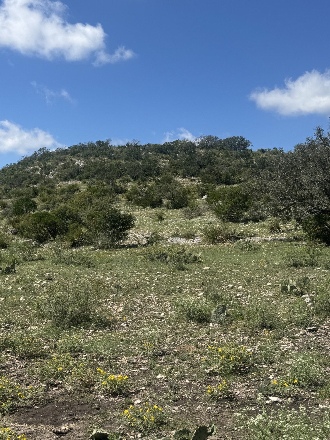 Lot 32 Private Road Rocksprings, TX 78880 - Photo 24 of 29