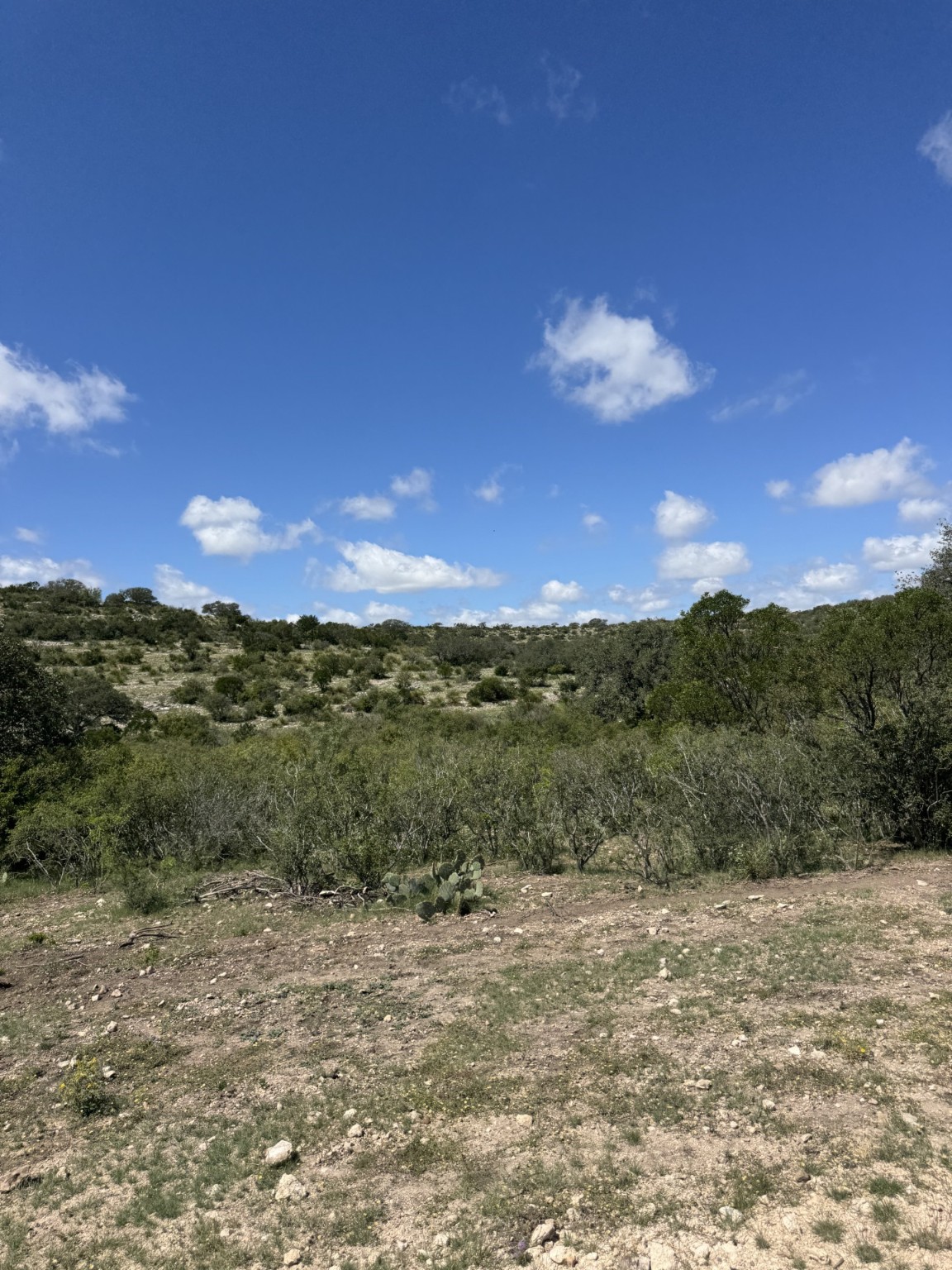 Lot 32 Private Road Rocksprings, TX 78880 - Photo 26 of 29